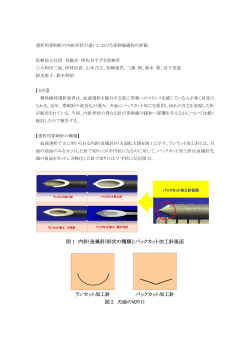 09. 透析用穿刺針の内針形状の違いにおける穿刺痛緩和の評価 （PDF