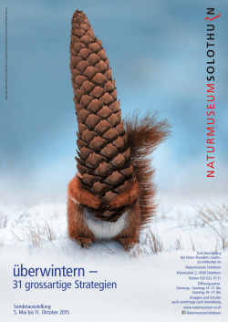 Plakat Ueberwintern - Naturmuseum Solothurn