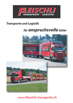 Firmendokumentation im pdf-Format