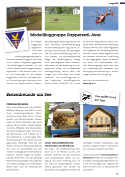 Bienenfreunde am See Modellfluggruppe Rapperswil-Jona