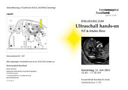 Ultraschall hands-on NT & fetales Herz