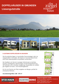 2015-03 Exposé Gmunden Liesengutstraße.indd