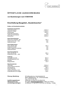 Erschließung Baugebiet Hauderboschen [PDF: 169 KB]