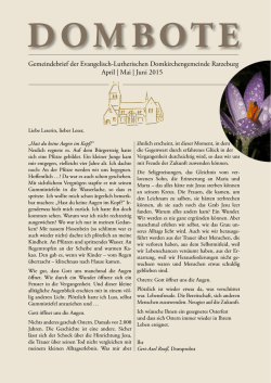 Dombote 2-2015 - Der Ratzeburger Dom