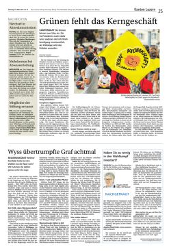 Gr&uuml;nen fehlt das Kerngesch&auml;ft - lu