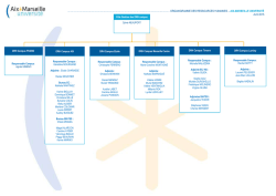 organigramme hierarchique drh campus