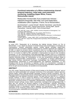 Functional restoration of a Rhine anastomosing