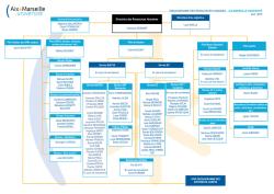 organigramme hierarchique drh poles
