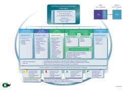 organigramme-CTO_Avril 2015