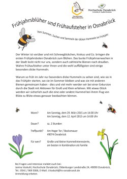 Hummelexkursion - Fr&uuml;hjahrsbl&uuml;her und Fr&uuml;haufsteher in Osnabr&uuml;ck