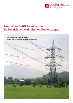 Muster PDF - Oesterreichs Energie Akademie
