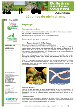 Légumes de plein champ N°3 - Chambre d`agriculture d`Aquitaine