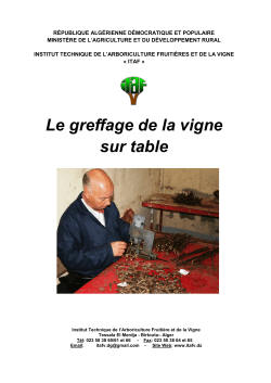 N°482 : Le greffage de la vigne sur table 2014-03-20