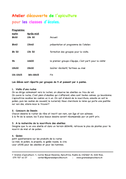 primaire  - Graines d`apiculteurs