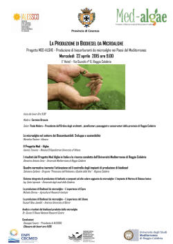 LA PRODUZIONE DI BIODIESEL DA MICROALGHE