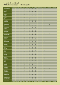 smoothie-mixer.de Wildkräuter sammeln – Saisonkalender
