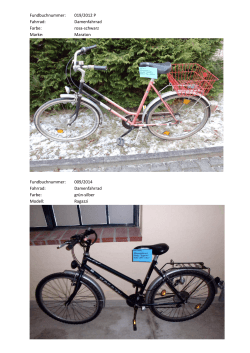 Fotos der zu versteigernden Fahrräder