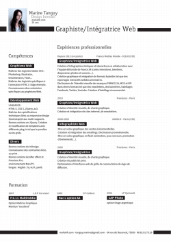 Graphiste/Int&eacute;gratrice Web