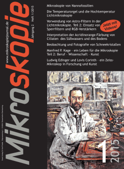 Interpretation der Acridinorange-Färbung von Ciliaten