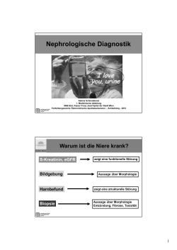 nephrolog. diagnostik_schmaldienst.pdf