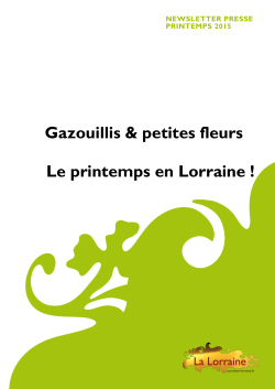Gazouillis & petites fleurs Le printemps en Lorraine