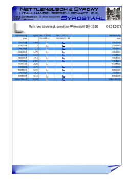 Rost- und säurebest. gewaltzer Winkelstahl DIN 1028 09.03.2015
