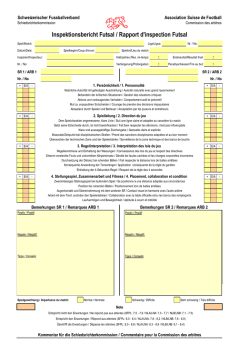 Inspektionsbericht Futsal / Rapport d`inspection Futsal