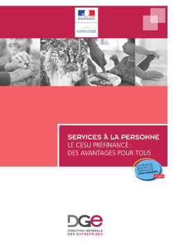 Brochure_Cesu_10032015.pdf - Direction Générale des Entreprises
