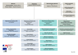 organigramme C2RMF