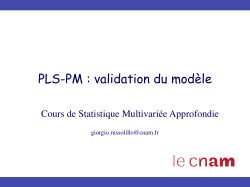 PLS-PM : validation du modèle