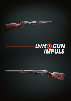 impuls - Innogun