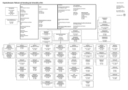Organigramm - Verwaltung