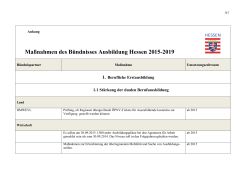 Bündnis Ausbildung Hessen: Maßnahmen 2015