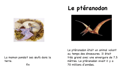 Le ptéranodon