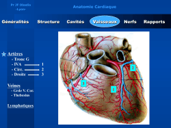 Anatomie Coronaires