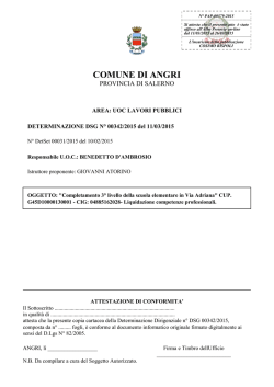 DSG-00342-2015-doc-frontespizio