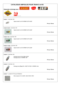 CATALOGUE AMPOULES POUR TRAIN O et HO