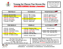 Young In Cheon Tae Kwon Do