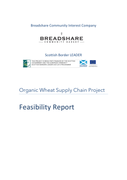 Organic Wheat Supply Chain feasibility report