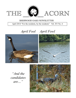 April Fool April Fowl “And the candidates are…”