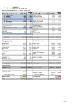 Compte d`exploitation au 31.12.2014 et budget 2015
