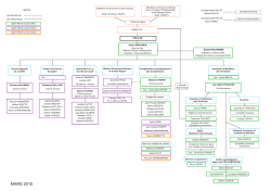 Organigramme P3E - DIRECCTE Lorraine