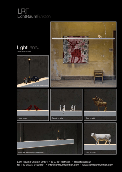 Produktinfo V LightLane int. .pages