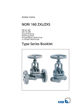 Type series booklet NORI 160 ZXL/ZXS