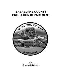 2013 - Sherburne County Minnesota
