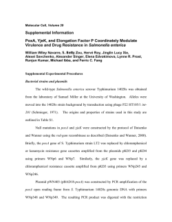 Document S1. Supplemental Experimental Procedures, Five