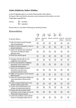 3. Fragebogen für den Bereich Klassenklima