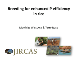High input - Phosphorus in Soils and Plants