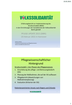 Pflegewissenschaftlicher Hintergrund