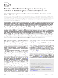Anaerobic Sulfur Metabolism Coupled to Dissimilatory Iron